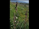 Sat 03 Apr 2010 09:47:15 D30_7846.JPG 
