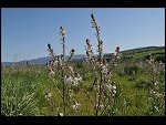 Sat 03 Apr 2010 09:47:34 D30_7847.JPG 