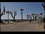Sat 03 Apr 2010 11:51:42 D30_7878.JPG 