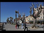 Sat 03 Apr 2010 11:52:16 D30_7880.JPG 