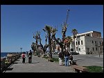 Sat 03 Apr 2010 11:56:12 D30_7890.JPG 