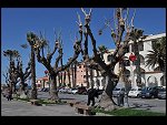 Sat 03 Apr 2010 11:58:54 D30_7899.JPG 
