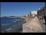 Sat 03 Apr 2010 12:08:42 D30_7915.JPG 