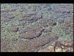 Sat 03 Apr 2010 12:14:18 D30_7929.JPG 
