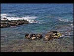 Sat 03 Apr 2010 12:14:28 D30_7930.JPG 