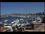 Sat 03 Apr 2010 12:20:30 D30_7943.JPG 
