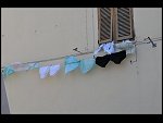 Sat 03 Apr 2010 12:55:48 D30_7954.JPG 