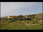 Sat 03 Apr 2010 14:52:24 D30_7957.JPG 