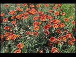Sat 03 Apr 2010 14:52:52 D30_7960.JPG 