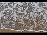 Sat 03 Apr 2010 14:59:42 D30_7977.JPG 