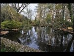 Sat 03 Apr 2010 16:52:44 D30_8005.JPG 