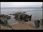 Sun 04 Apr 2010 11:14:46 D30_8088.JPG 