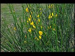 Sun 04 Apr 2010 14:34:44 D30_8103.JPG 