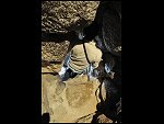 Sun 04 Apr 2010 15:36:30 D30_8157.JPG 