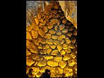 Sun 04 Apr 2010 15:39:51 D30_8163.JPG 