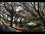 Mon 05 Apr 2010 08:58:18 D30_8195.JPG 