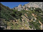 Mon 05 Apr 2010 09:34:34 D30_8231.JPG 