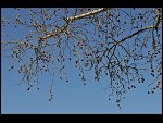 Tue 06 Apr 2010 14:09:20 D30_8289.JPG 