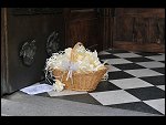 Fri 24 Sep 2010 14:42:46 D3S_9058.JPG 
