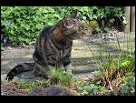 Sun 18 Apr 2010 12:11:30 D3S_2690.JPG 