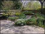 Sun 18 Apr 2010 12:40:04 18042010558.JPG 