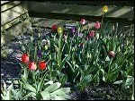 Wed 21 Apr 2010 16:04:02 21042010568.JPG 