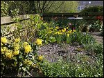 Thu 22 Apr 2010 15:23:22 22042010570.JPG 