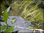 Sun 25 Apr 2010 12:44:44 25042010587.JPG 