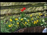 Sun 18 Apr 2010 12:05:32 D3S_2650.JPG 
