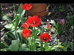Sun 18 Apr 2010 12:05:44 D3S_2652.JPG 
