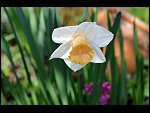 Sun 18 Apr 2010 12:06:06 D3S_2654.JPG 