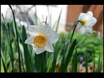 Sun 18 Apr 2010 12:06:14 D3S_2655.JPG 