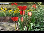 Sun 18 Apr 2010 12:06:28 D3S_2657.JPG 