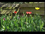 Sun 18 Apr 2010 12:06:54 D3S_2658.JPG 