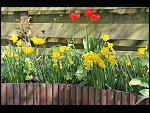 Sun 18 Apr 2010 12:07:10 D3S_2660.JPG 