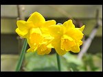 Sun 18 Apr 2010 12:07:30 D3S_2662.JPG 