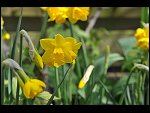 Sun 18 Apr 2010 12:07:32 D3S_2663.JPG 