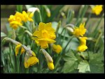 Sun 18 Apr 2010 12:07:38 D3S_2664.JPG 