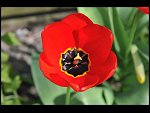 Sun 18 Apr 2010 12:07:48 D3S_2665.JPG 
