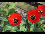 Sun 18 Apr 2010 12:07:58 D3S_2666.JPG 