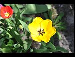 Sun 18 Apr 2010 12:08:12 D3S_2667.JPG 