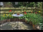 Sun 18 Apr 2010 12:11:44 D3S_2691.JPG 