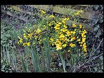 Sun 18 Apr 2010 18:04:16 D3S_2737.JPG 