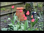 Sun 18 Apr 2010 18:04:30 D3S_2738.JPG 