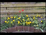 Sun 18 Apr 2010 18:04:46 D3S_2740.JPG 