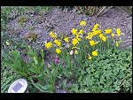 Sun 18 Apr 2010 18:04:54 D3S_2741.JPG 