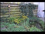 Sun 18 Apr 2010 18:05:00 D3S_2742.JPG 