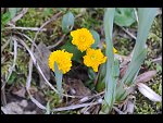 Sun 18 Apr 2010 18:05:16 D3S_2743.JPG 