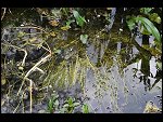 Sun 25 Apr 2010 12:37:30 D3S_2744.JPG 
