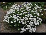 Sun 25 Apr 2010 12:37:56 D3S_2746.JPG 